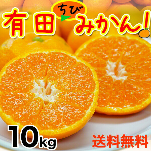 2025年 ご予約開始 みかん 訳あり 温州みかん 大国和歌山の 有田みかん(温州ミカン)10kg ちびみかんサイズ 送料無料!※沖縄、離島を除く 美味しい有田...