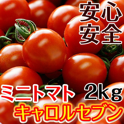 ミニトマト キャロルセブン 2kg【送料無料 ※北海道、沖縄を除く】減農薬・減化学肥料で栽培する、驚きの糖度と絶妙のコク、濃厚な風味が余韻を引く美味しいトマト