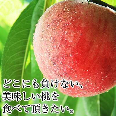 ふるさと納税 あら川の桃