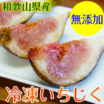 和歌山県産 冷凍いちじく（無添加）1kg【冷凍便 送料無料】冷凍 無花果（イチジク）いちじくスムージー、いちじくジャムにもおススメ！半解凍でそのままお召し上がり頂けます