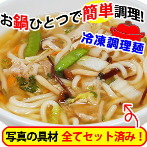 野菜たっぷり熱々を！とろ〜りトロミが身体を芯から温めるあんかけうどん!!（冷凍うどん、白菜、しめじ、たけのこ、人参、もやし、きくらげ、きぬさや、ねぎ、あげ、豚肉、スープもセットの冷凍調理麺）冷凍麺！