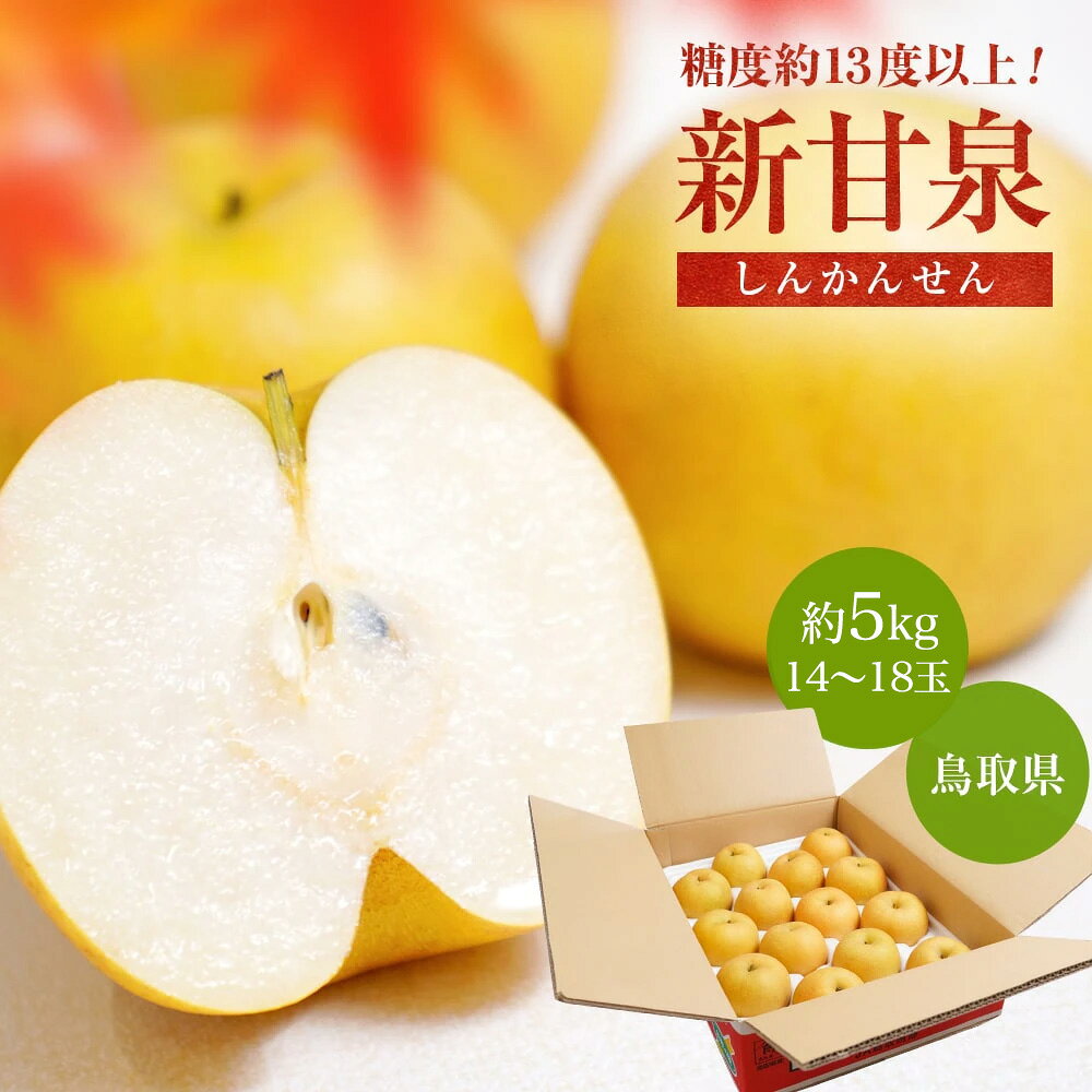 2026年 ご予約開始 秋の味覚 梨（なし）鳥取県産 新甘泉（しんかんせん） 約5kg 14玉〜18玉 甘みたっぷり歯ざわりシャキシャキの新品種 送料無料（北海道、沖縄は別途送料要） 収穫時期8月25日頃から約2週間