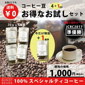 ネコポス配送 ポスト投函 日時指定不可 送料無料 1000円ポッキリ お試しセット【コーヒー豆 5種類飲み比べ】 スペシャルティコーヒー コーヒー 珈琲 味比べ コーヒー豆 ブレンド 珈琲豆 飲み比べ | プチギフト 豆 コーヒー粉 スペシャリティコーヒー ギフト