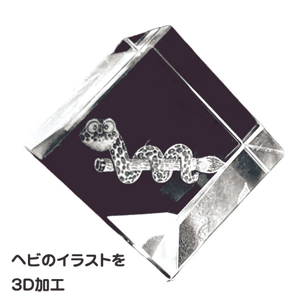 ���ꥹ���봳��ʸ�á�̦��Ω�����ڡ��ѡ��������ȡ�3D���ꥹ�����HO3411 ���塼�ַ� 2025ǯ ��