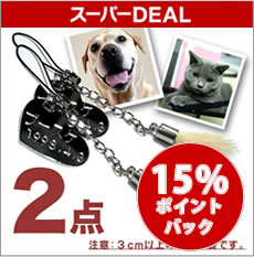 Rakuten - 【6/3～スーパーDEAL15%ポイントバック】ペット筆チャーム 2点セット【熊野製】犬の毛 筆 犬 猫 ペット 遺毛 形見 メモリアル チャーム 名入れ