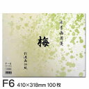 【お買い物マラソン★ポイント最大10倍】 水墨画用箋 梅 F6(100枚入り)