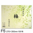 【お買い物マラソン★ポイント最大10倍】 水墨画用箋 梅 F5(100枚入り)