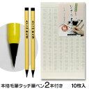 1000円ポッキリ 送料無料 写経用紙 なぞり書き用 10枚入 筆ペン2本セット【あかしや】SA-300 KY300【メール便 送料無料】なぞる 写経 用紙