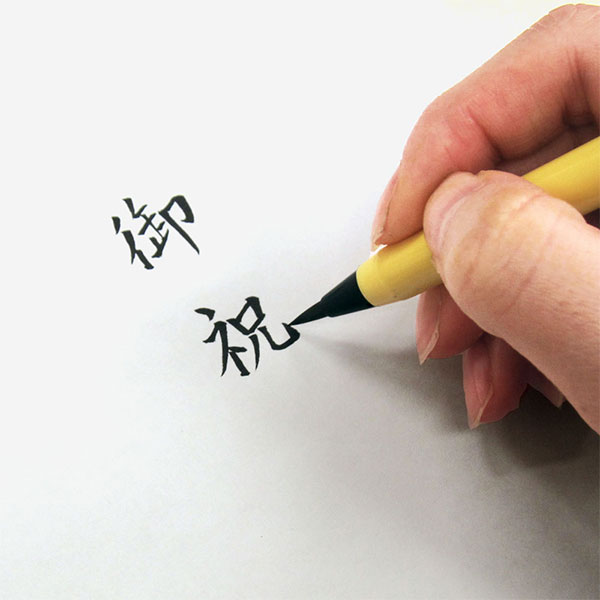 �ڿ͵���ɮ�ڥ�� ����ɮ �Ͽ��ڤ��������SA-300 ��̾�� �̷� ɮ�ڥ᡼�����б���ǯ���