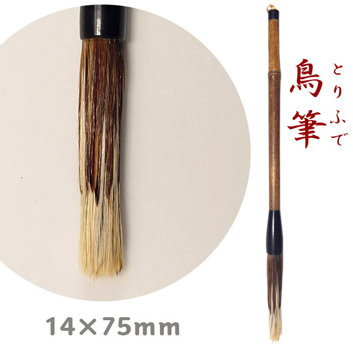 羽毛筆 14×75mm 【鳥筆】 珍毫筆 特殊筆...