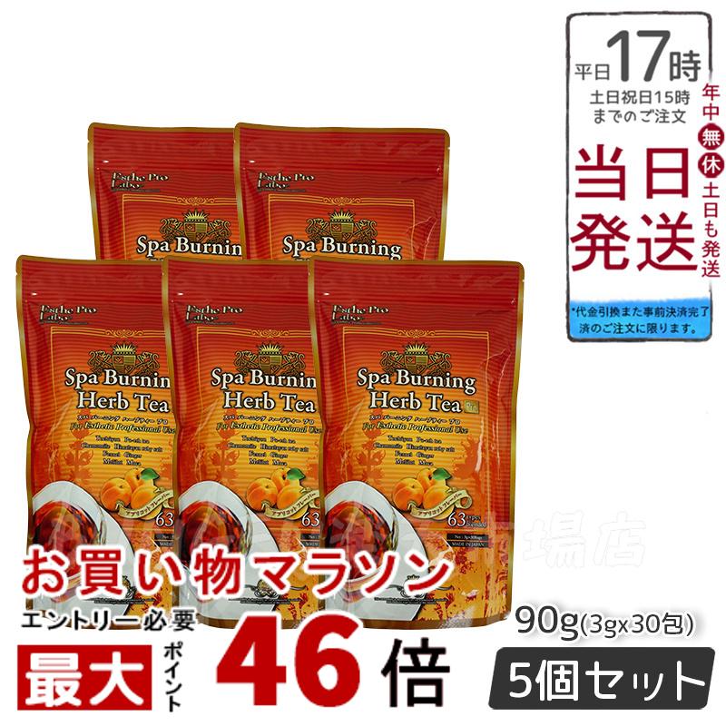 【5個セット】エステプロラボ スパ バーニング ハーブティー プロ 3g×30包 代謝系茶 賞味期限2024年1月