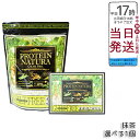 エステプロラボ プロテイン ナチュラ グランプロ(抹茶)20袋 ボディメイクサポート食品 100%植物性プロテイン 無添加
