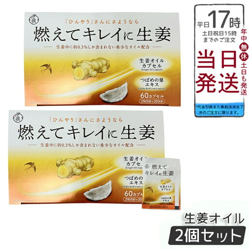 【2個セット】伊段 燃えてキレイに生姜オイル 温活(405mg×60カプセル) 賞味期限:2025年11月 【2個セット】伊段 燃えてキレイに生姜オイル 温活(405mg×60カプセル) 賞味期限:2025年11月