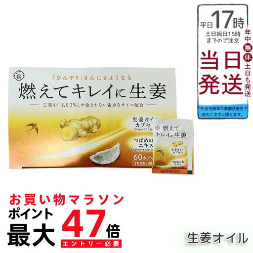 伊段 燃えてキレイに生姜オイル 温活(405mg×60カプセル) 賞味期限:2025年11月 伊段 燃えてキレイに生姜オイル 温活(405mg×60カプセル) 賞味期限:2025年11月