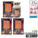 【3個セット】伊段 北海道鹿角霊芝 120粒