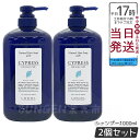 【2個セット】ルベル ナチュラル ヘア ソープ ウィズ CYd 1000ml