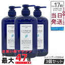 【3個セット】ルベル ナチュラル ヘア ソープ ウィズ CYd 1000ml