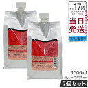【2個セット】ルベル IAU イオリコミント クレンジング シャンプー 1000ml