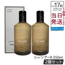 【2個セット】SEE/SAW BALANCE ヘア&スキャルプシャンプー B バランス 250ml ヘアトリートメント サロン・美容室専売品【LEBEL ルベル SEE/SAW シーソー】