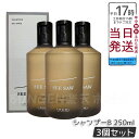 【3個セット】SEE/SAW BALANCE ヘア&スキャルプシャンプー B バランス 250ml ヘアトリートメント サロン・美容室専売品【LEBEL ルベル SEE/SAW シーソー】