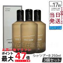 【3個セット】SEE/SAW BALANCE ヘア&スキャルプシャンプー B バランス 250ml ヘアトリートメント サロン・美容室専売品【LEBEL ルベル SEE/SAW シーソー】