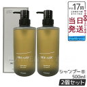 【国内正規品】2個セット ルベル LEBEL シーソー ヘア&スキャルプシャンプーB バランス 500ml SEE/SAW サロン BALANCE 美容室専売品