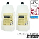 【2個セット】ルベル シーソー ヘア&スキャルプトリートメント S 800ml リフィル 詰め替え LEBEL SEE/SAW 国内正規品