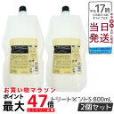 【2個セット】ルベル シーソー ヘア&スキャルプトリートメント S 800ml リフィル 詰め替え LEBEL SEE/SAW 国内正規品