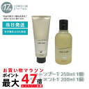 【国内正規品】ルベル シーソー ヘア&スキャルプトリートメント T 200ml & シャンプーT 250ml セット LEBEL SEE/SAW