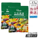 2個セット 万田酵素 ペーストタイプ スタンダード STANDARD分包 77.5g (2.5g×31包) 万田酵素 万田発酵 健康 健康食品 人気 野菜 果物...