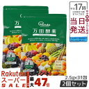 2個セット 万田酵素 ペーストタイプ スタンダード STANDARD分包 77.5g (2.5g×31包) 万田酵素 万田発酵 健康 健康食品 人気 野菜 果物...