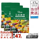 3個セット 万田酵素 ペーストタイプ スタンダード STANDARD分包 77.5g (2.5g×31包) 万田酵素 万田発酵 健康 健康食品 人気 野菜 果物...