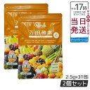 2個セット 万田酵素 ペーストタイプ GINGER ジンジャー 分包 77.5g (2.5g×31包)万田酵素 万田発酵 健康 健康食品 人気 野菜 果物 桑の...