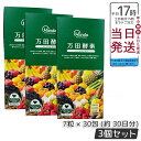 【3個セット】万田酵素 STANDARD スタンダード 粒(分包)タイプ 7粒×30包 万田酵素 万田発酵 健康 健康食品 人気 野菜 果物 桑の実 栄養補助 ...