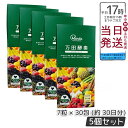 【5個セット】万田酵素 STANDARD スタンダード 粒(分包)タイプ 7粒×30包 万田酵素 万田発酵 健康 健康食品 人気 野菜 果物 桑の実 栄養補助 ...