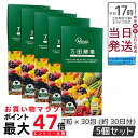 【5個セット】万田酵素 STANDARD スタンダード 粒(分包)タイプ 7粒×30包 万田酵素 万田発酵 健康 健康食品 人気 野菜 果物 桑の実 栄養補助 ...
