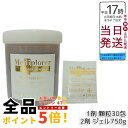 メディプローラー Mediplorer CO2 ジェルマスク 炭酸パック 業務用 30回分 フェイスパック マスク エステ 炭酸ガスパック CO2パック 酵素パ...