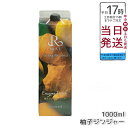 REVI ルヴィ ファスティング400シリーズ 1000mL「Enzyme Drink」柚子ジンジャーテイスト