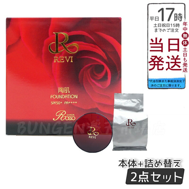 REVI ルヴィ 陶肌ファンデーション 21 通常色 レフィル 本体+替え用セット 15g ニードル 針 陶肌スピキュール 植物幹細胞 ファンデーション 下地不...