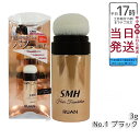 RUAN ルアン スーパーミリオンヘアー 3g 薄毛を隠す微細パウダー 透けない仕様で、男女兼用 ルアン SMH ヘアファンデーション 3g No.1 ブラック