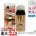 RUAN ルアン スーパーミリオンヘアー 3g 薄毛を隠す微細パウダー 透けない仕様で、男女兼用 ルアン SMH ヘアファンデーション 3g No.2ダークブラウン