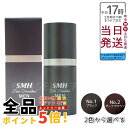 RUAN ルアン SMH メンズヘアファンデーション 20g カラー選択可 -No.1 ブラック/ No.2ダークブラウン 薄毛や白髪をカバーする微細パウダー【送料無料】