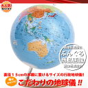 ※メーカー取寄出荷まで5日程度※渡辺教具/シティーズ15 卓上地球儀WF No.1502(木台) 直径15cmの本棚に置けるサイズの行政地球儀 【楽ギフ_包装】...