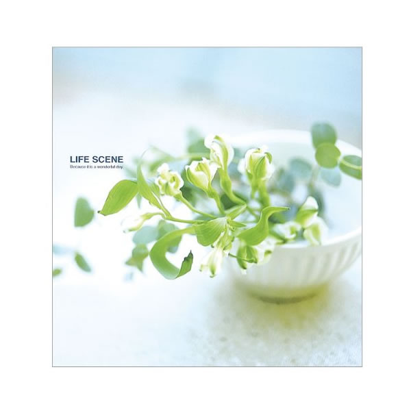 ナカバヤシ／フエルアルバム L プラコート台紙 ライフシーン ブルー (LPF-1001-B) 植物 Nakabayashi