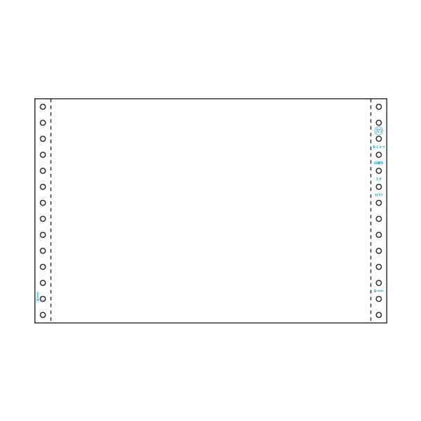 ヒサゴ／ストックフォーム B5ヨコ 2P 白紙 (GB373) 伝票 250セット HISAGO