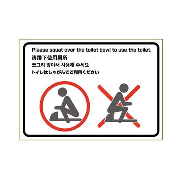 ヒサゴ／はがせる！ピタロングステッカー トイレの使用方法（和式） A4 ヨコ (KLS057) 1シート HiSAGO