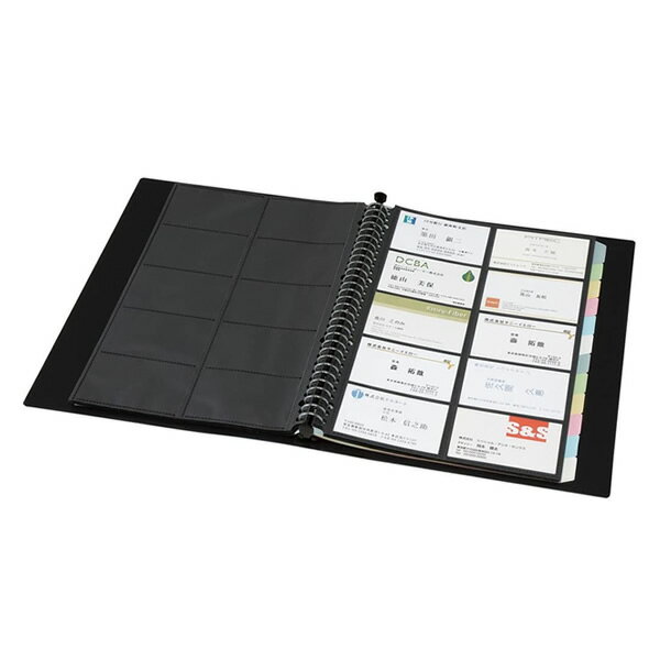 【全2色・A4タテ型】キングジム／ショットドックス 名刺ホルダー　差し替え式　A4（36SDW）500名用　ファイリングした名刺簡単データ管理　自動補正　KING JIM