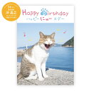 学研ステイフル/BDメッセージブック (ねこ)(B10045)ハッピーにゃースデー 猫写真家 沖昌之 誕生日カード プレゼント Gakken