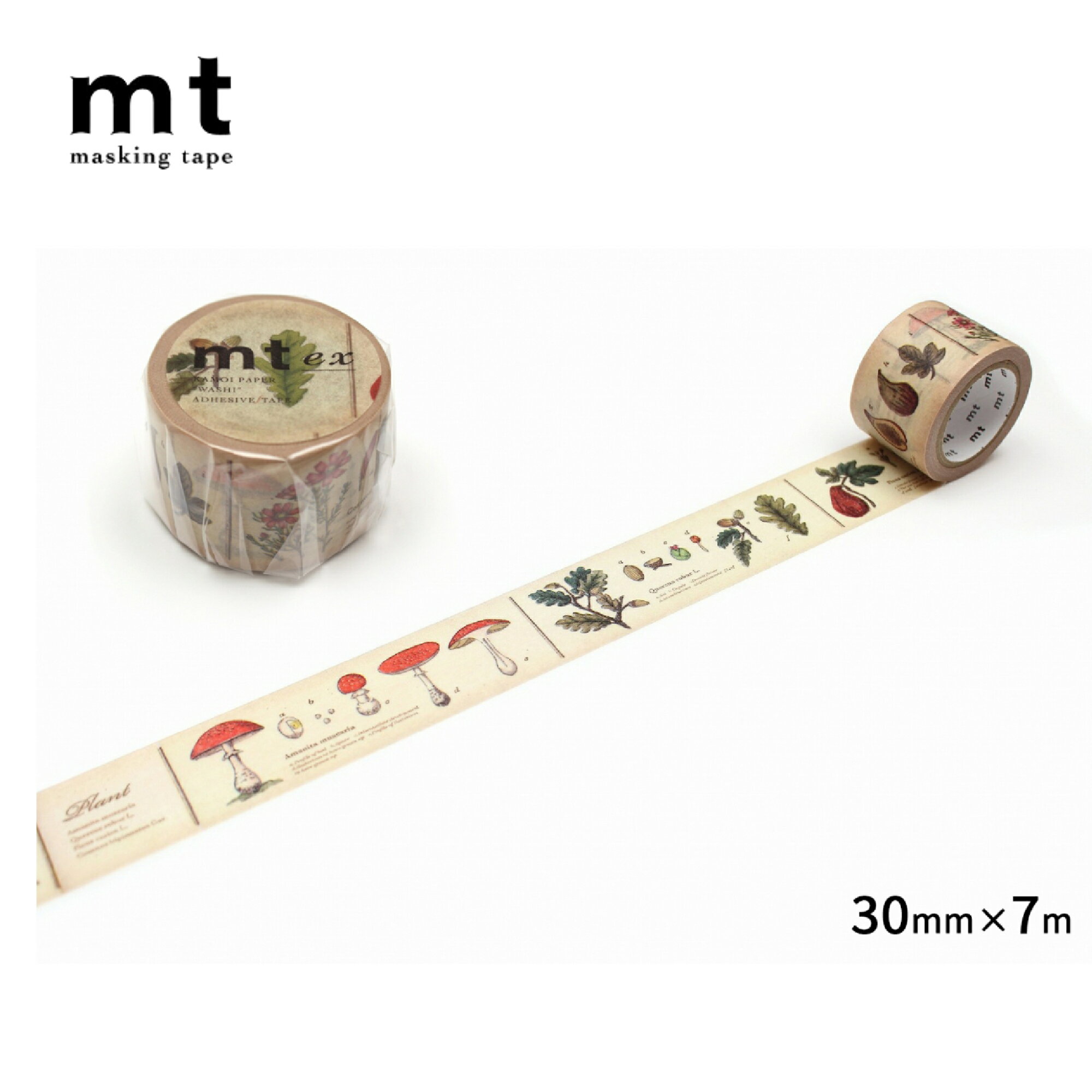 乐天商城 - カモ井加工紙 ／ マスキングテープ　mt ex 図鑑・植物R（MTEX1P34R）　幅30mm ×長さ7m