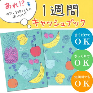 A5サイズ!日本ホールマーク/1週間キャッシュブック フルーツ(EFK-725-105)気軽に始められる1週間単位のキャッシュブックです!家計簿 EFK725105 hallmark